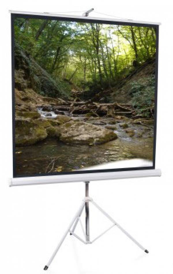 Экран на штативе ScreenMedia SAM-1106 Apollo 244×244 см Matte White 1:1